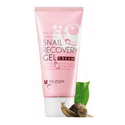 Picture of Snail Recovery Gel Cream 45ml (Snail Secretion Filtrate 74%)